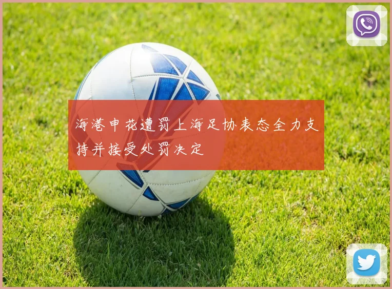 海港申花遭罚上海足协表态全力支持并接受处罚决定